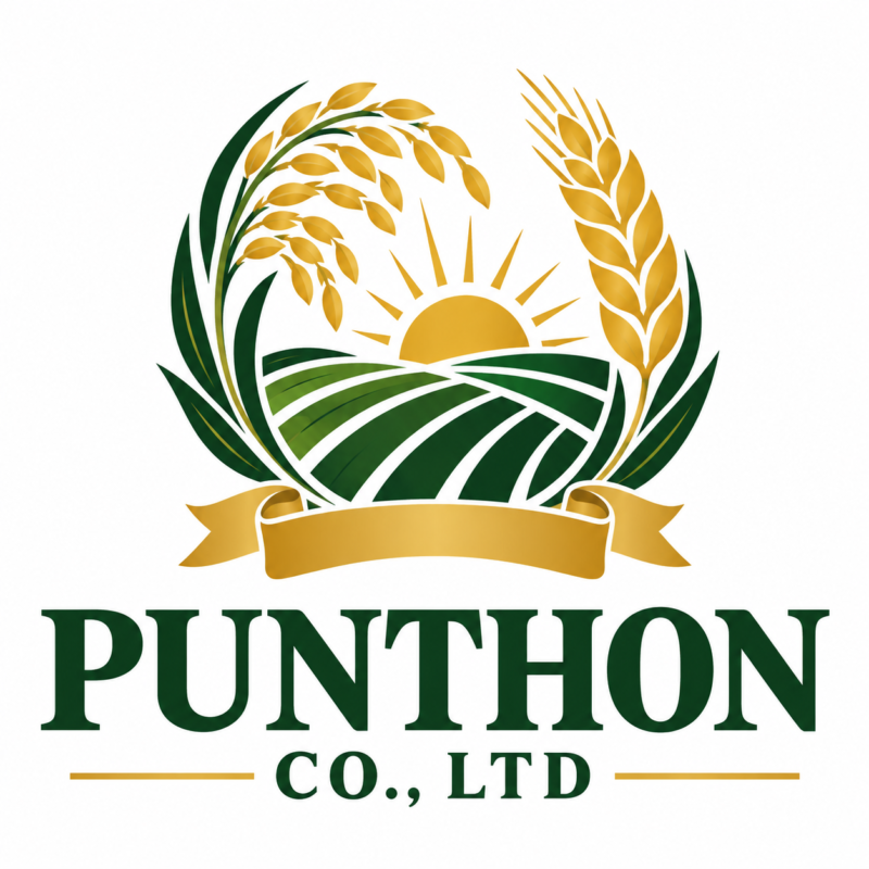 Global Exporter of Cassava Starch, Rice ,Sugar & Edible Oil 